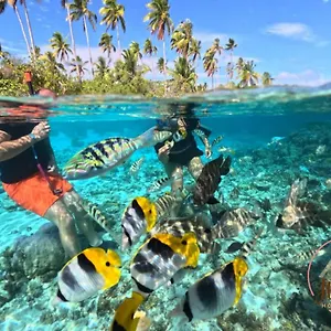 Hébergement de vacances Hutiarii House & Car & Excursions Raiatea, Tevaitoa